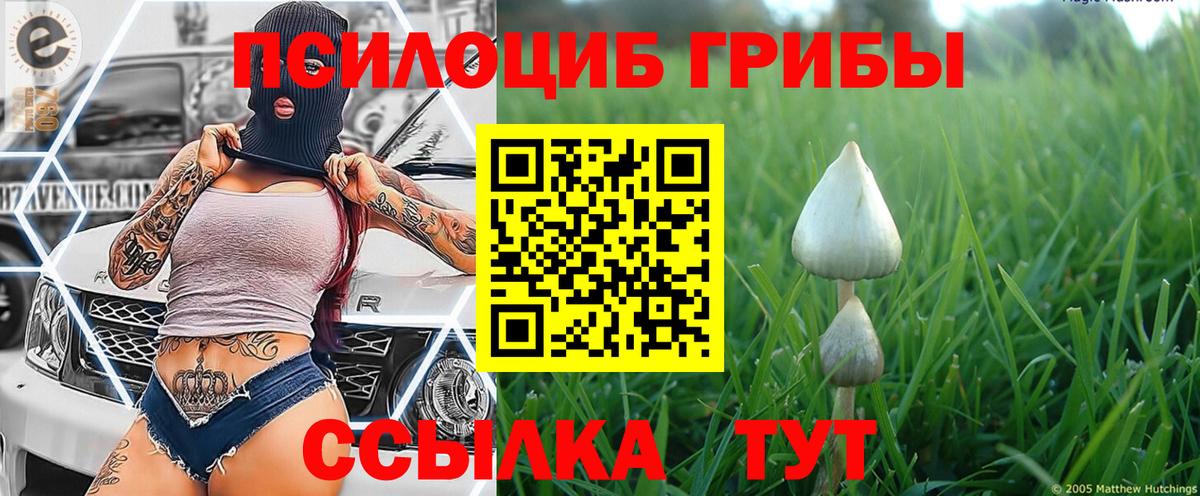 Галлюциногенные грибы мицелий  Вход с VPN  Вичуга 
